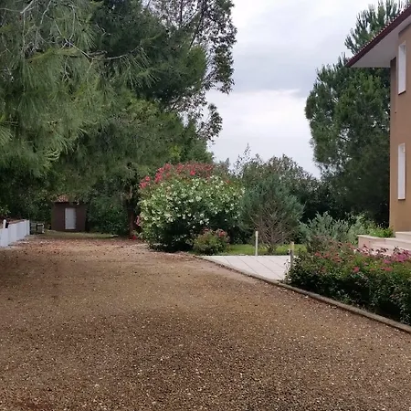 Anna Maria Villa *